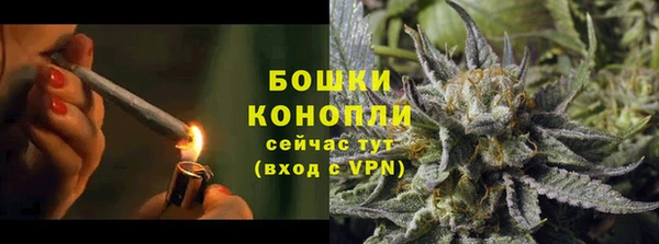 индика Козловка